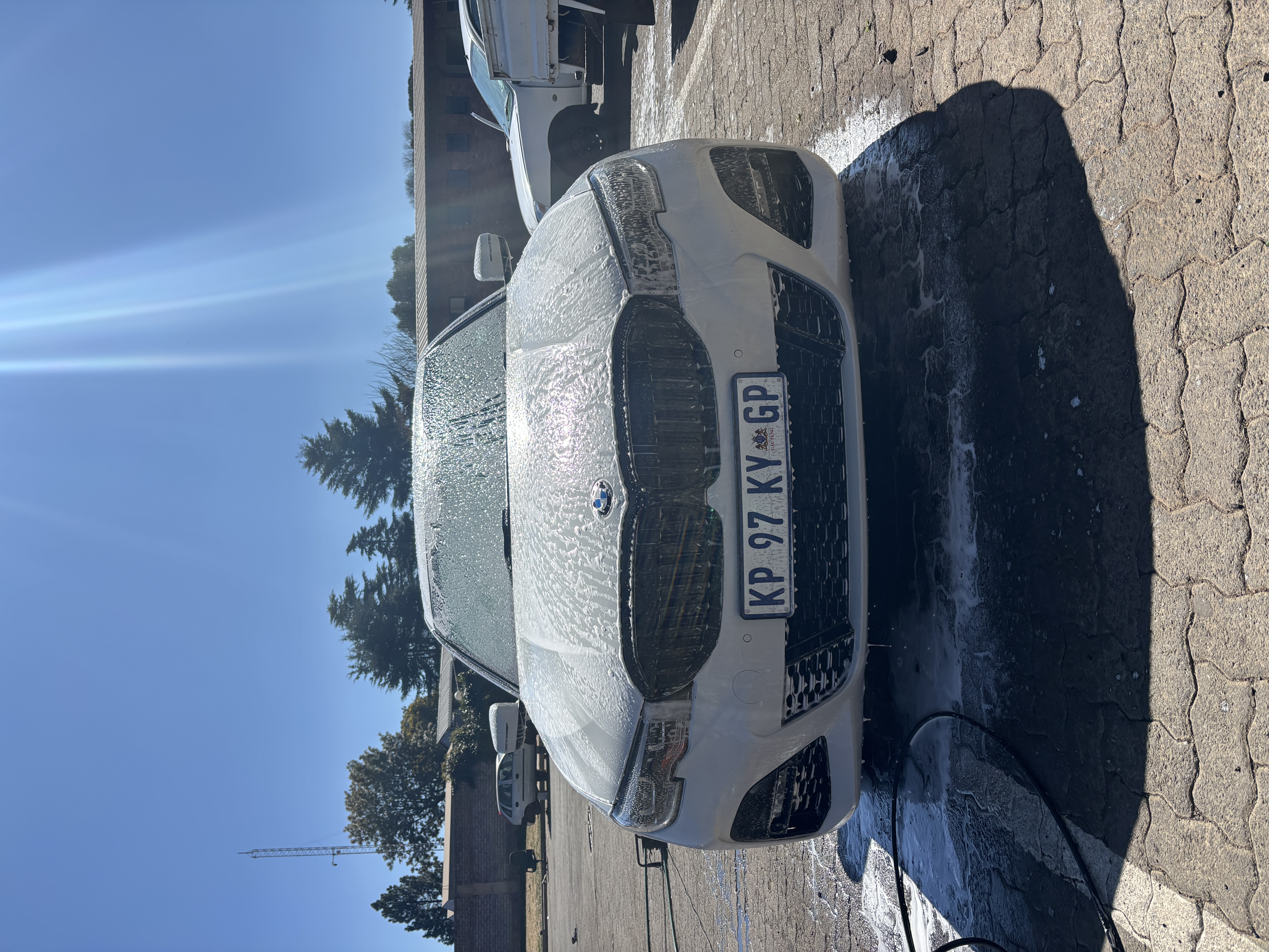 Professional car detailing results